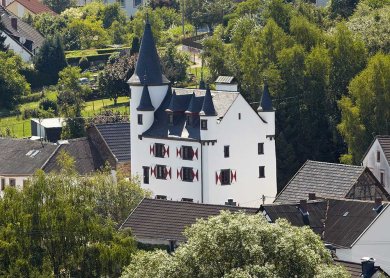 Burg Dreis