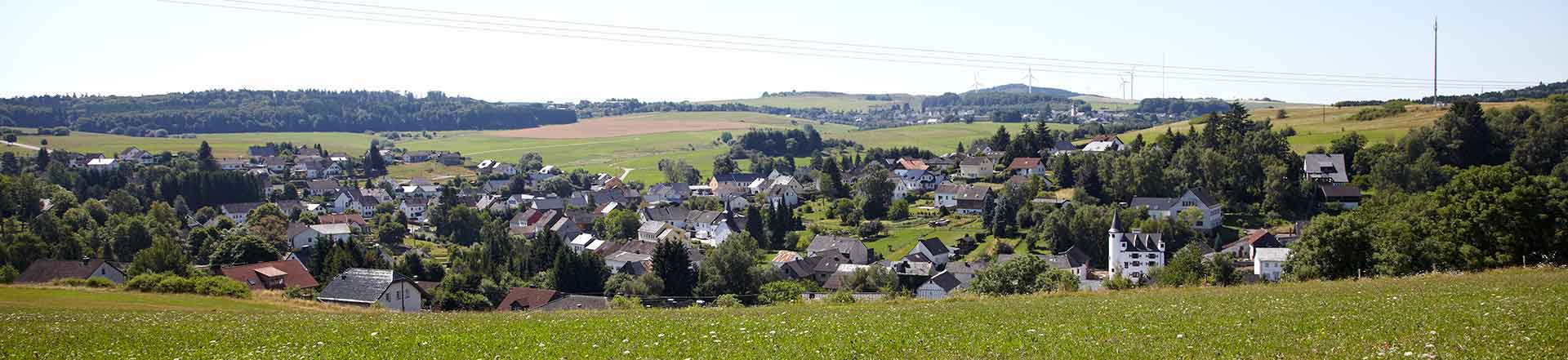 Blick auf den Ortsteil Dreis vom östlichen Ortsrand