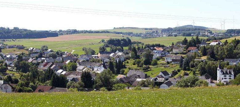 Blick auf den Ortsteil Dreis vom östlichen Ortsrand