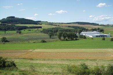 Blick auf den Dreiser Weiher Blick auf den Dreiser Weiher